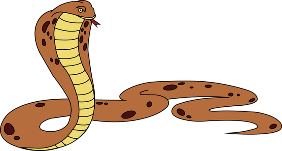 Reptile