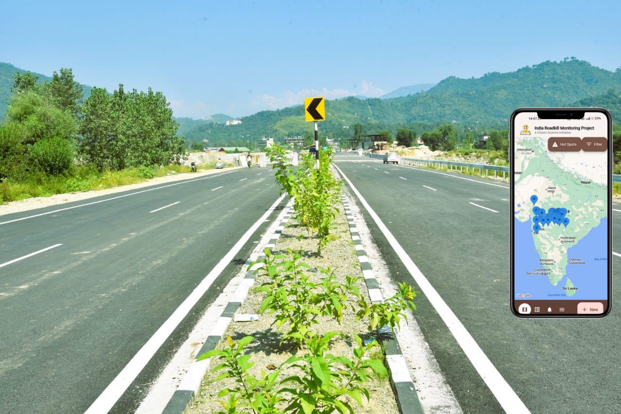 India Roadkill Monitoring Project